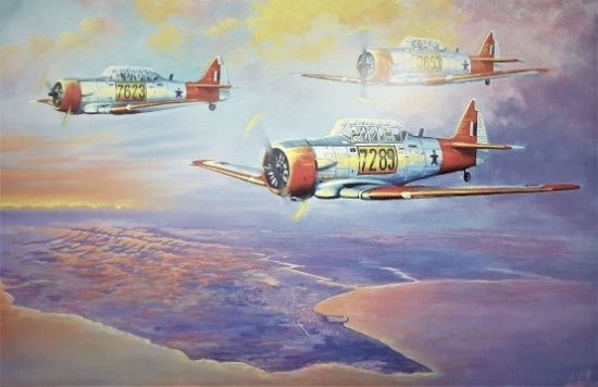 South African Air Force Harvards over Port Elizabeth Poster - No-14