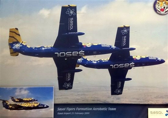L-29s Flying Tigers Poster - NO-69