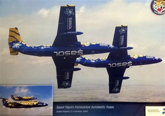 L-29s Flying Tigers Poster - NO-69