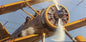 Boeing Stearman Poster - NO-846