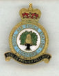 Royal Air Force Cosford Metal Pin - PIN746