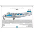 De Havilland Dove ZS-BCC SAA Museum Profile Poster - PVP-96