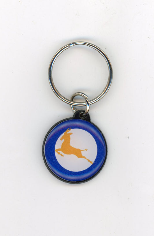 SAAF Springbok Roundel Key Ring - PVS1