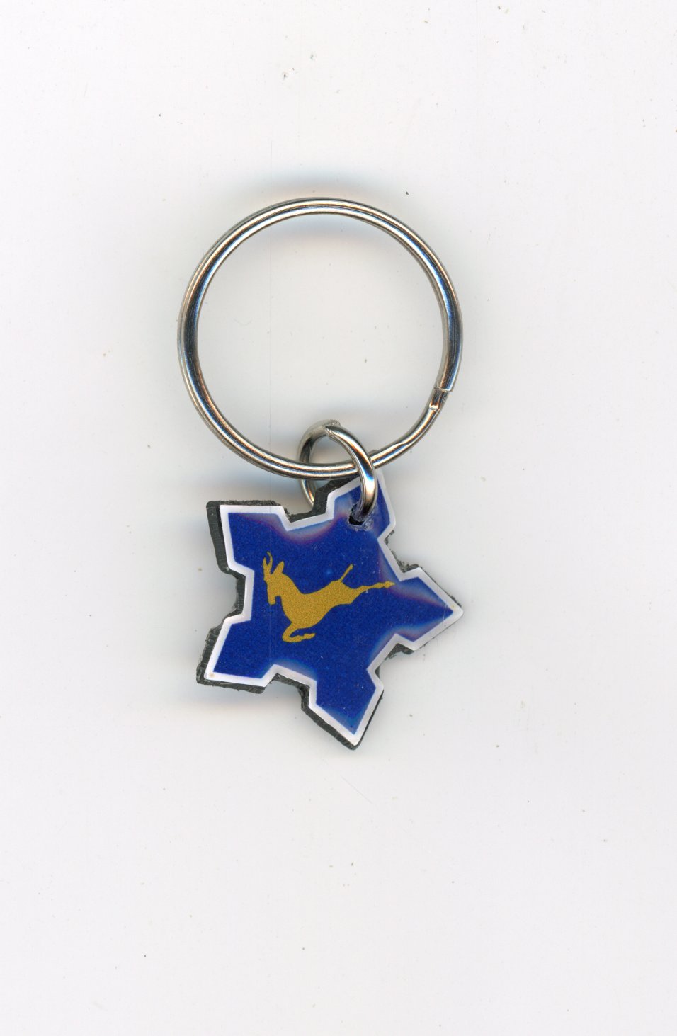 SAAF Springbok Castle Key Ring - PVS2