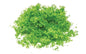 Flockage - Bright Green Hornby R7161