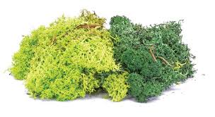 Lichen - Green Mix - Hornby R7194