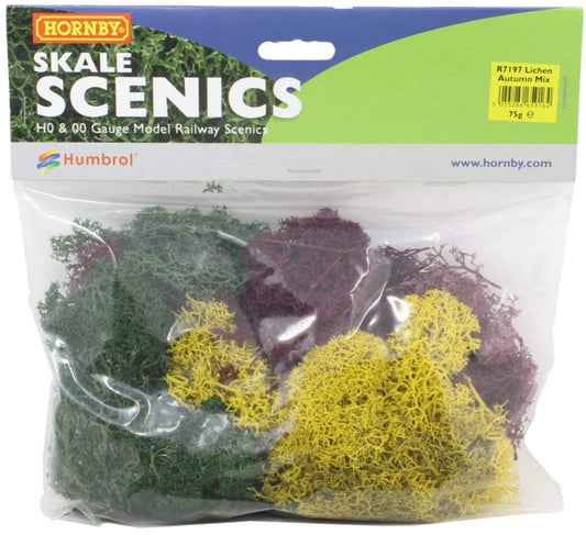 Lichen - Large Autumn Mix 75g Hornby R7197