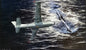 SAAF Piaggio P.166S Albatros Poster - RB-5