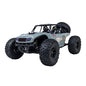 R/C Octane XL Brushed Elec. Buggy (Grey) 1/10 River Hobby  RH1043/327