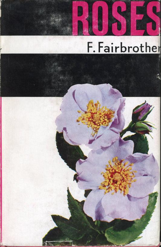 Roses - by F Fairbrother
