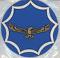 SAAF Roundel with Eagle Emblem - SAAF2