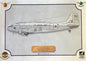 SAAF C-47 Dakota 6857 Profile Poster - SAC3