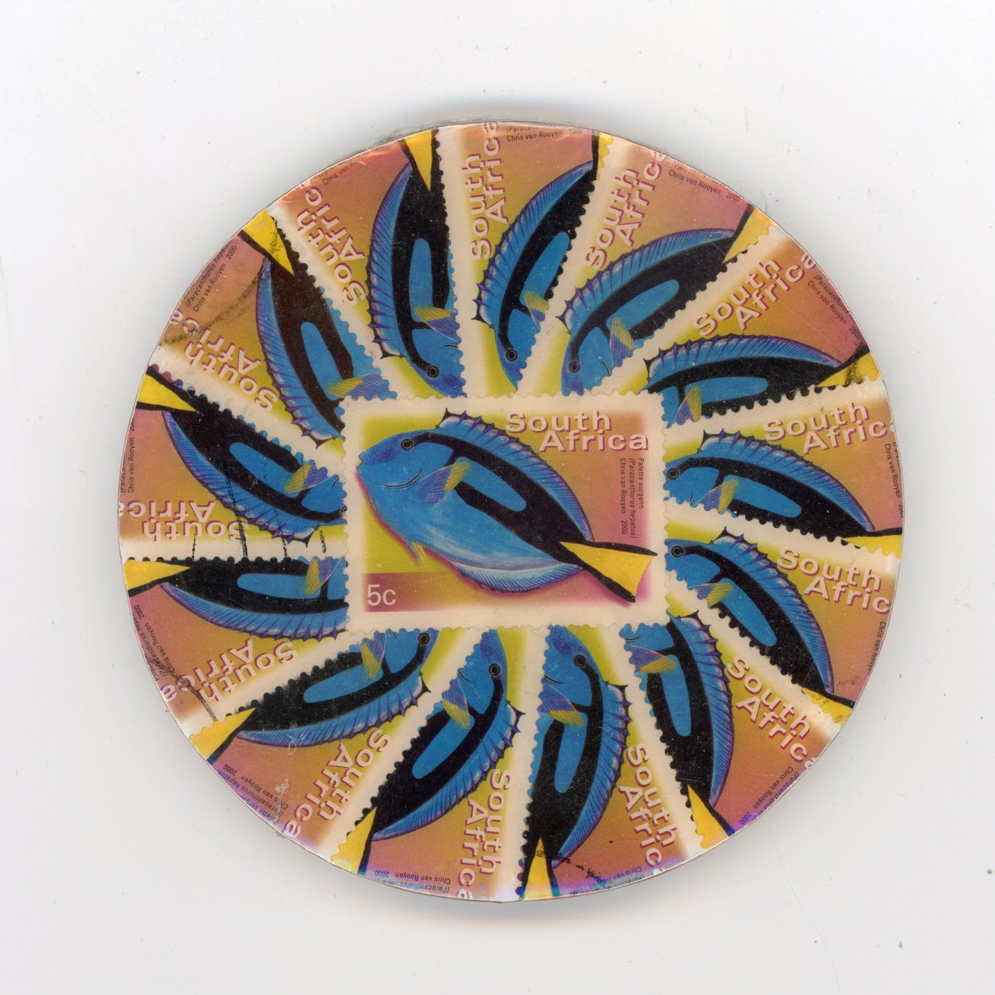 South African Fish Coaster Set - SC1293-1297