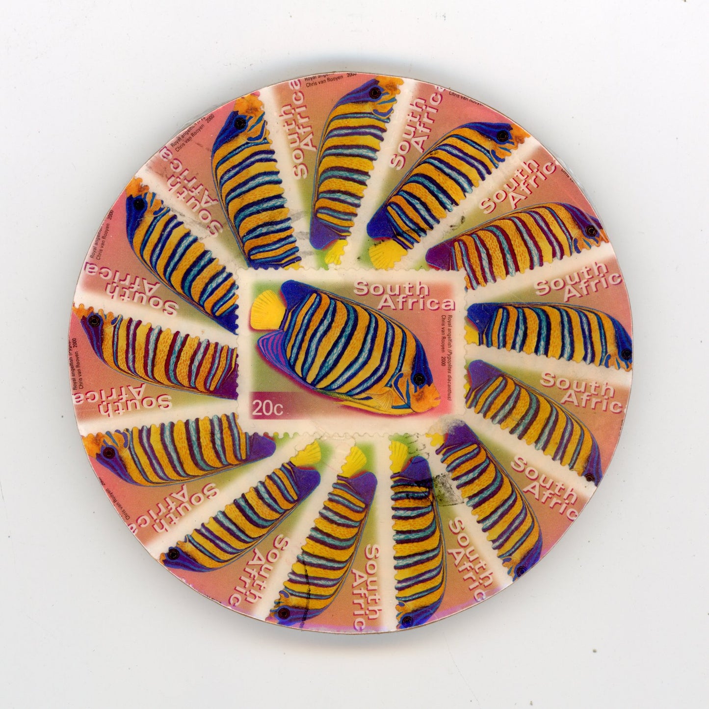 South African Fish Coaster Set - SC1293-1297