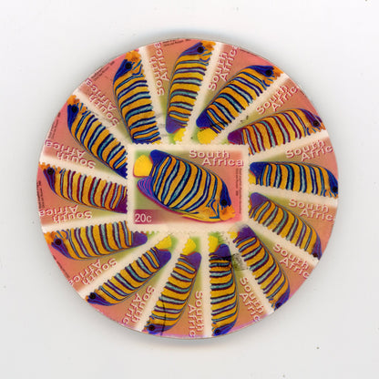 South African Fish Coaster Set - SC1293-1297