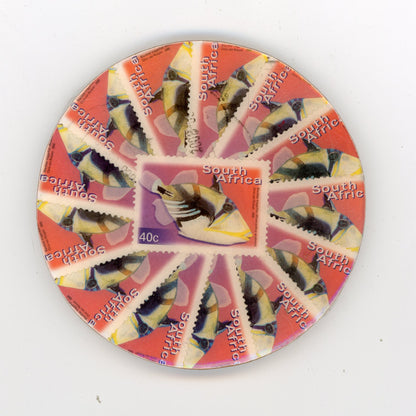 South African Fish Coaster Set - SC1293-1297