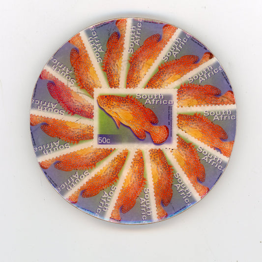 South African Fish Coaster Set of 2 - SC1298-1299