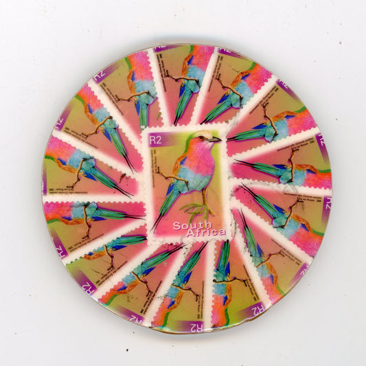 Lilacbreaster Roller Coaster - SC1312