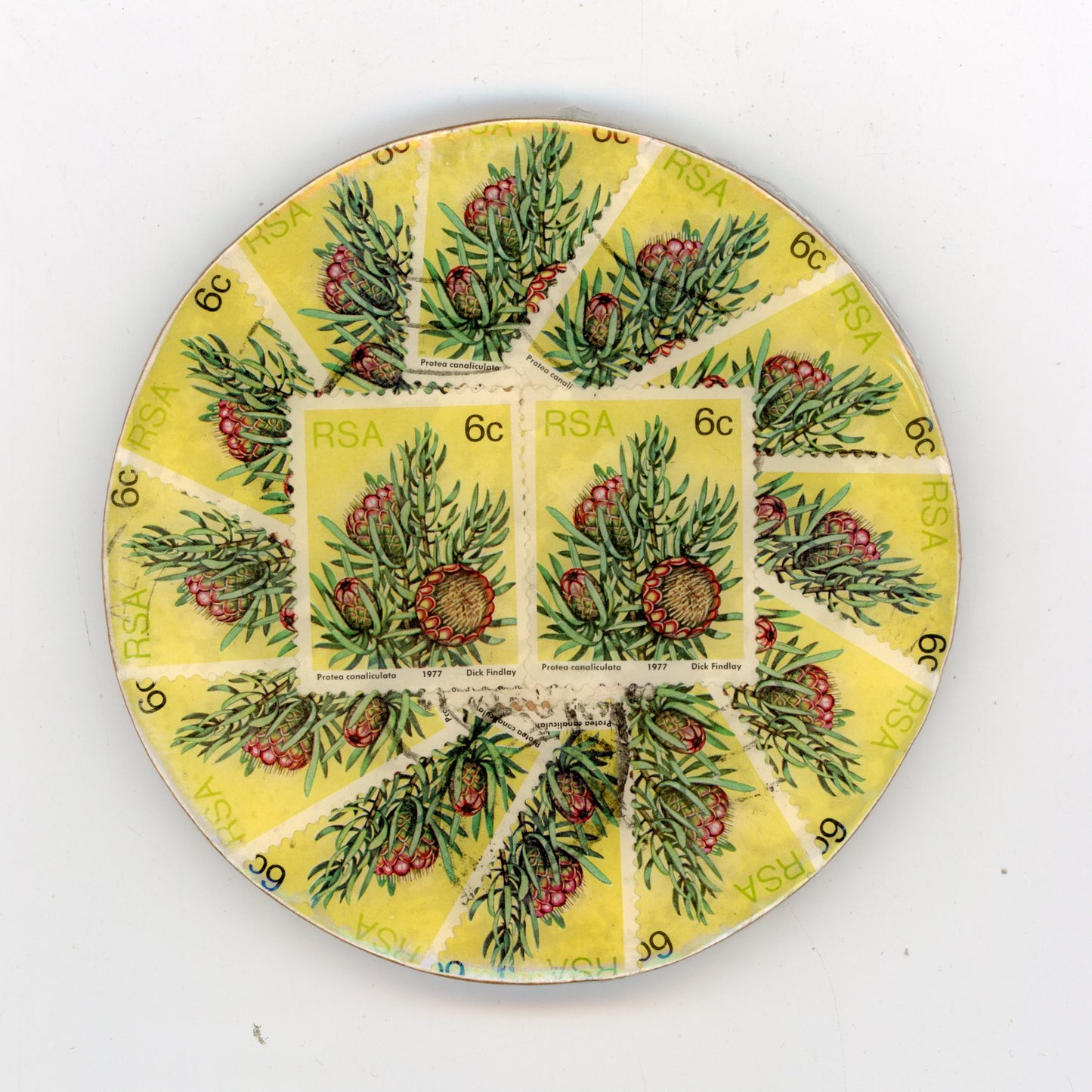 South African Protea Coaster Set of 4 - SC419/423/426/428
