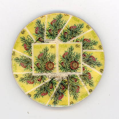 South African Protea Coaster Set of 4 - SC419/423/426/428