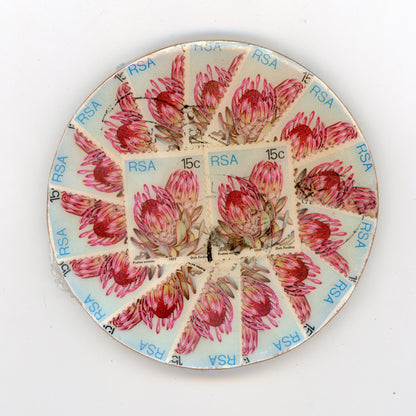 South African Protea Coaster Set of 4 - SC419/423/426/428