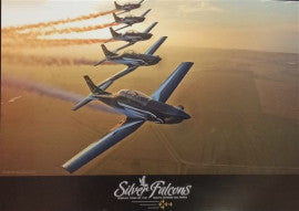 SAAF Silver Falcons Team Poster - SFPA
