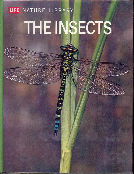 The Insects - Life Nature Library
