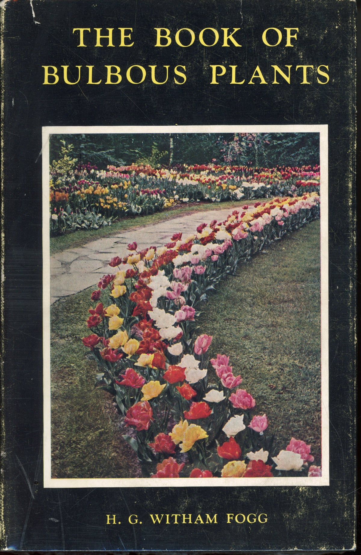The Book Of Bulbous Plants