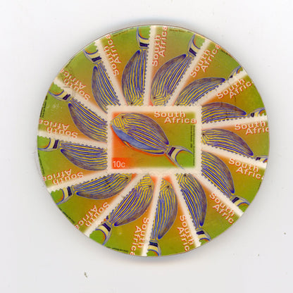 South African Fish Coaster Set - SC1293-1297