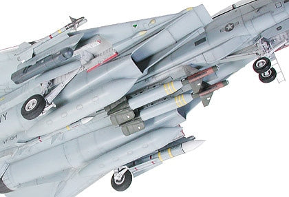 F-14A Tomcat Black Knight 1/32 Scale Tamiya 60313